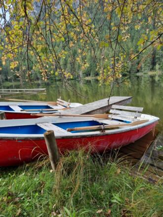 Herbststimmung am Pflegersee