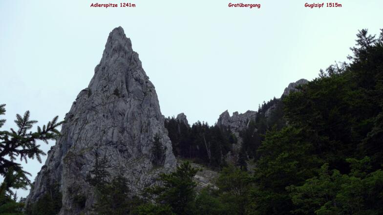 (Untere Rast 970m mit Adlerspitze