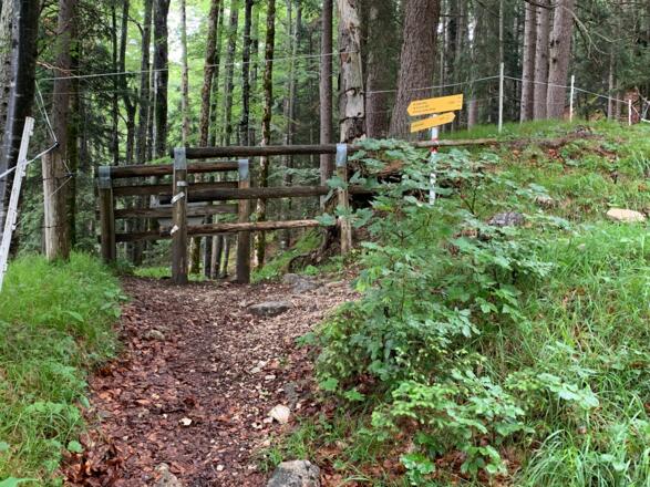 Gatter mit Abzweigung rechts zur Rehbergalm