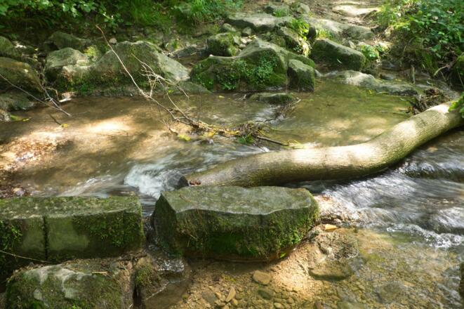 Wanderweg an der Leiblach bei Bad Diezlings