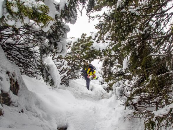 Teilweise muss man sich unter den Latschen hindurch bücken.