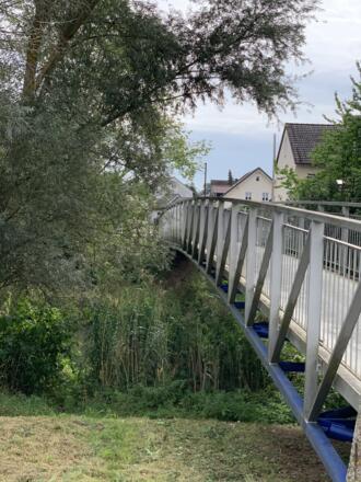 Hopfenernte bei Königsfeld