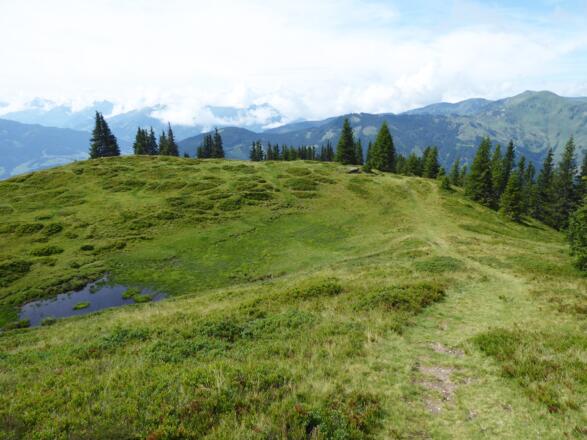 Beinahe schwebendes Wandern auf dem Ahornstein-Rücken Richtung Südwesten.