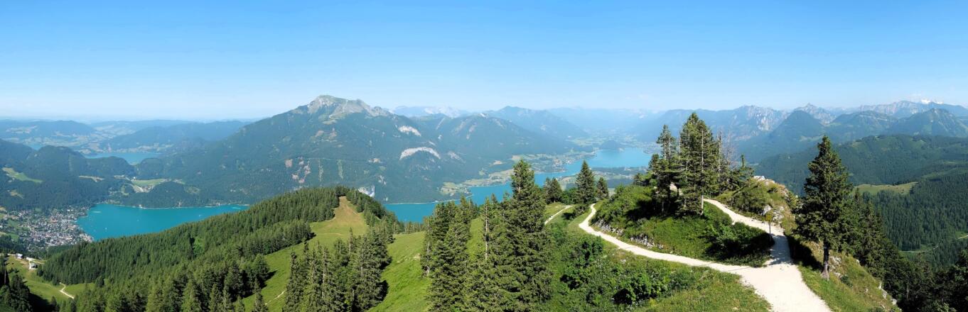Zwölferhorn Seeblick - Schafberg und Dachstein