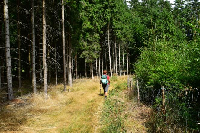 Unterwegs in Richtung Opferstein und Gipfelkreuz