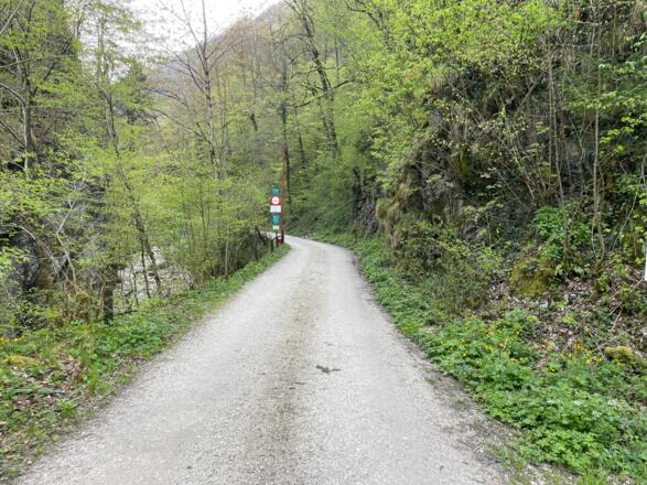 Bahnhof Trattenbach - Wendbach Trail