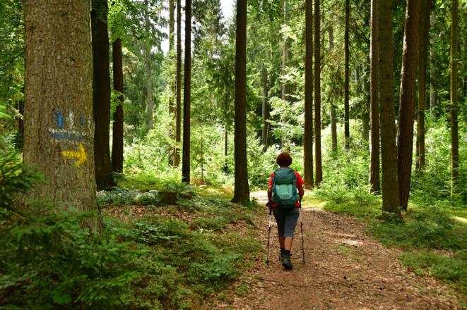 Wie man sieht, der Weg ist gut markiert