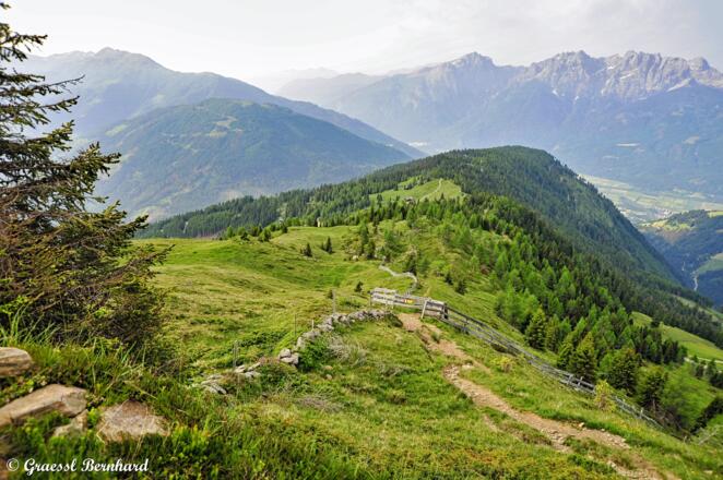 Welch ein wunderbarer Ausblick auf die Lienzer Dolomiten und das Mölltal.