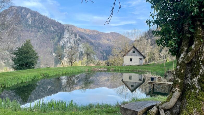 Bahnhof Trattenbach - Wendbach Trail
