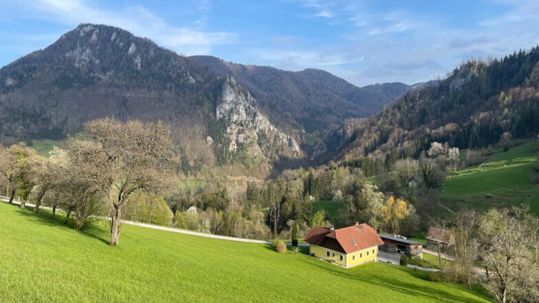 Bahnhof Trattenbach - Wendbach Trail