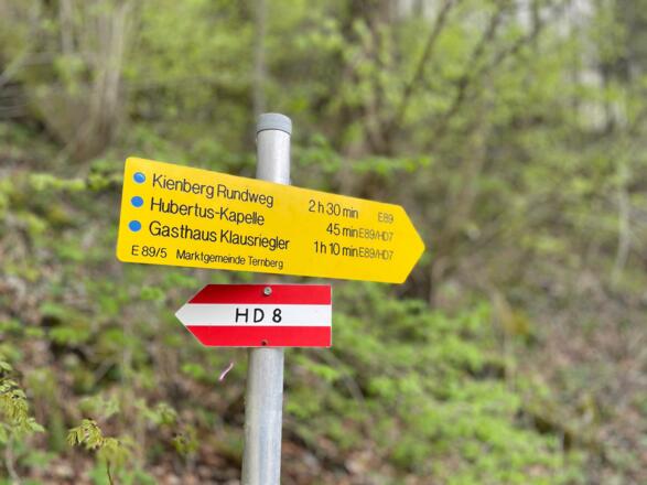 Bahnhof Trattenbach - Wendbach Trail