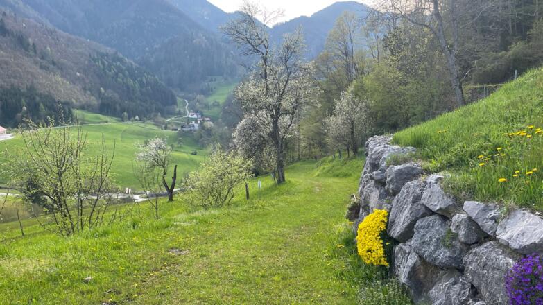 Bahnhof Trattenbach - Wendbach Trail
