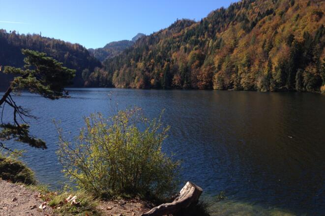 Hechtsee im Herbst