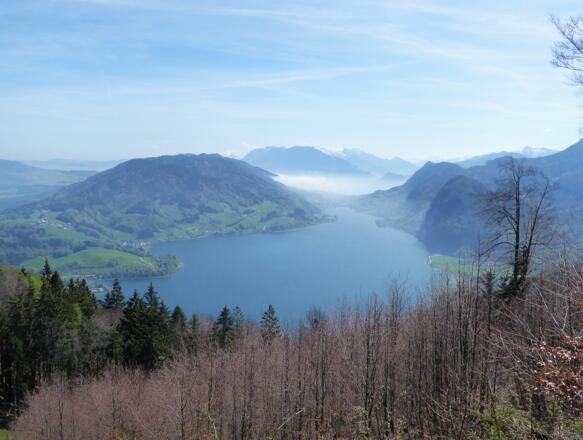 Ein letzter Mondseeblick beim Abstieg nach St. Gilgen.
