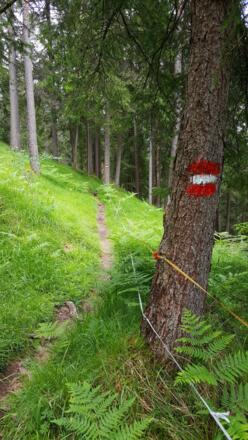 Herrliche Wanderpfade zur Köglalm