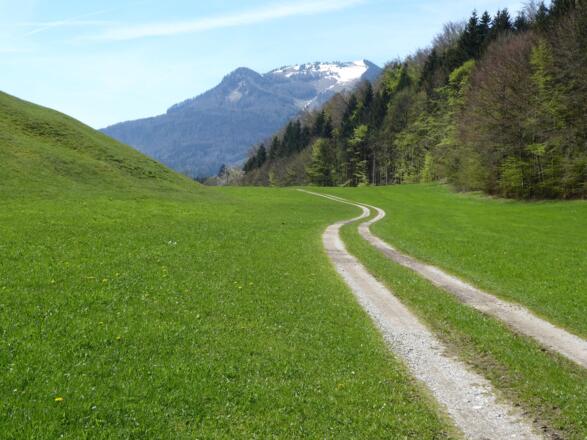 Der letzte Abschnitt führt durch die hochtalartige Idylle von Obenau nach St. Gilgen.