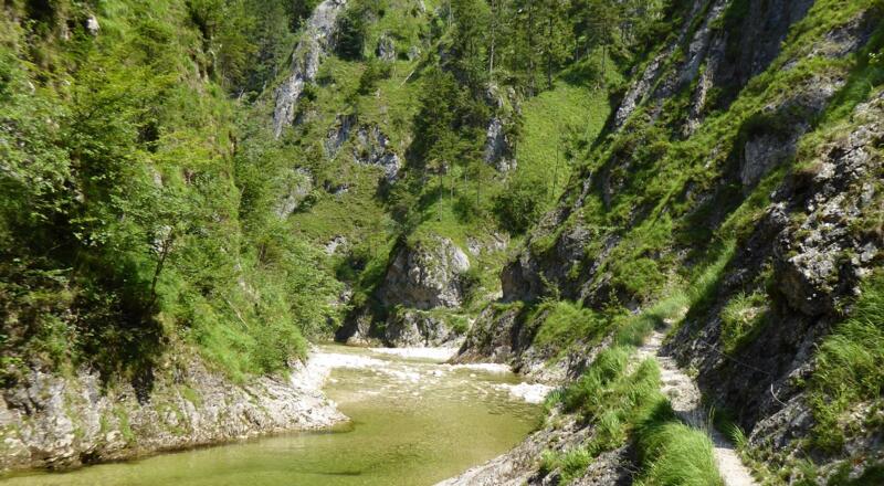 Wandern am Triftsteig im Nationalpark Kalkalpen