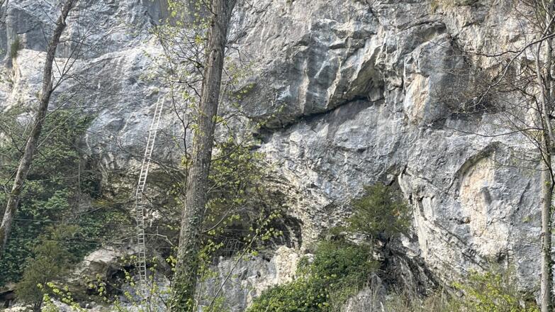 Bahnhof Trattenbach - Wendbach Trail