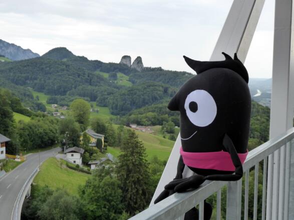 Auf dem Aussichtsturm der Salzwelten verschafft sich Edgar einen ersten Überblick.