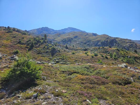 Der Morgenkogel kommt ins Blickfeld