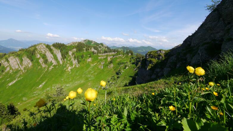 Ausblick vom Girenkopf zu Heidenkopf und Siplingerkopf