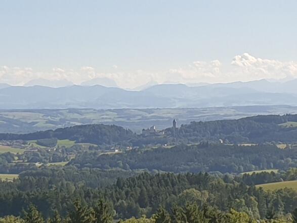 Aussicht zur Burg Clam