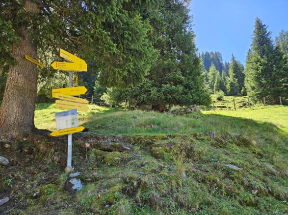 Abzweigung zum Morgenkogel