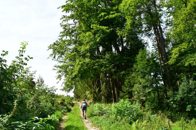 Im Bereich des Paßberges
