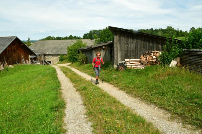 Nach dem Ort Mardetschlag wandern wir leicht bergauf