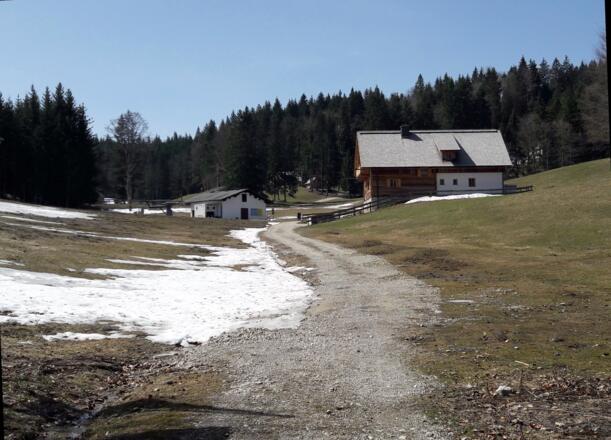 Schigebiet Forsterau~ 925m
