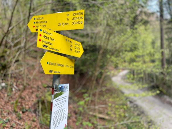 Bahnhof Trattenbach - Wendbach Trail