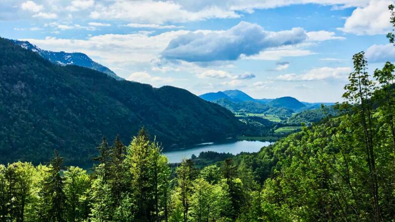 Blick auf den Hintersee