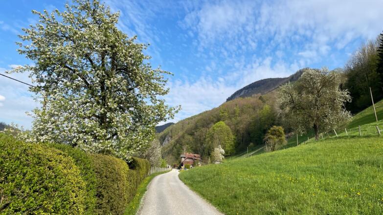Bahnhof Trattenbach - Wendbach Trail