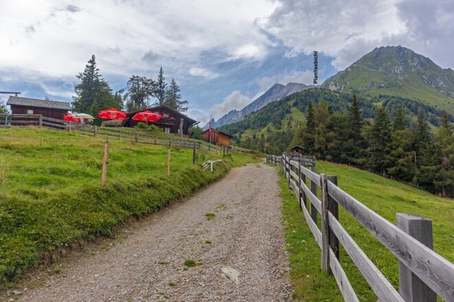 Auf der Wodenalm, Blick zum Planlissbichl