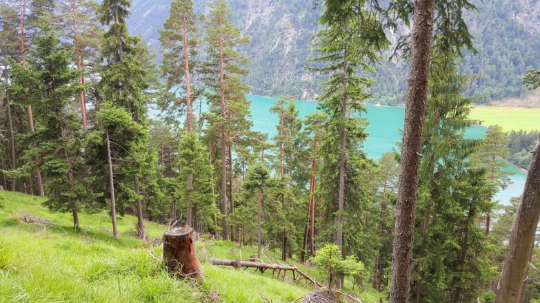 Blick hinunter zum Achensee