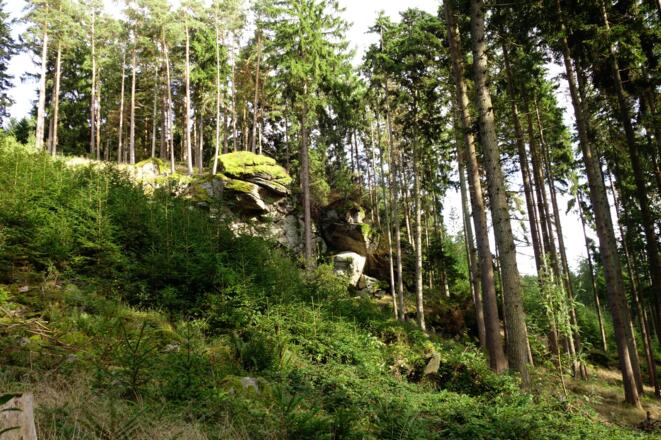 Die Felsformationen "Koller Felsen"