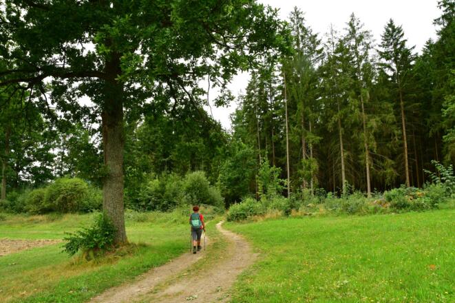Unterwegs in Richtung Mardetschlag