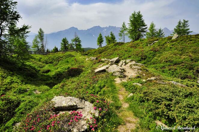 Blumenübersäte Wiesen und herrliche Stille...