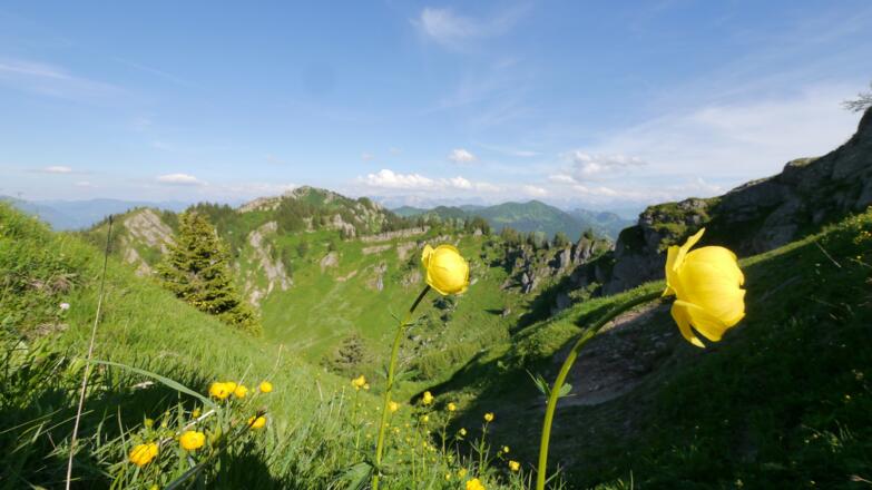 Blick auf Heidenkopf und Siplingerkopf