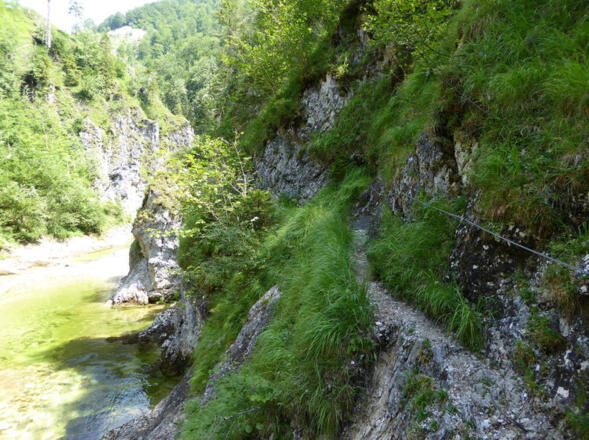 Triftsteig - Reichraminger Hintergebirge