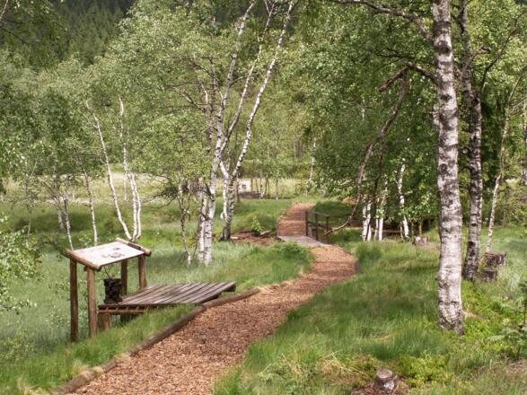 Lehrweg durch das Hochmoor Wasenmoos