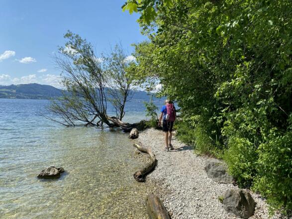 Am Rückweg wieder am Traunsee
