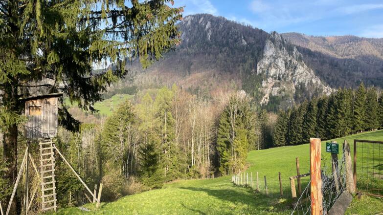 Bahnhof Trattenbach - Wendbach Trail