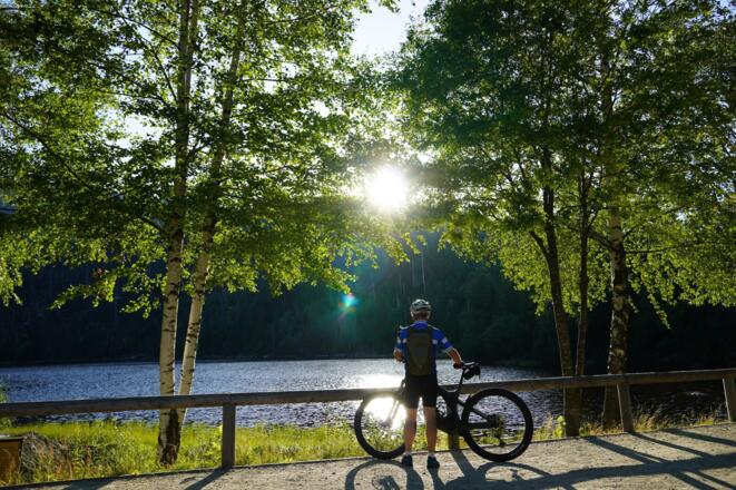 Plöckensteinersee