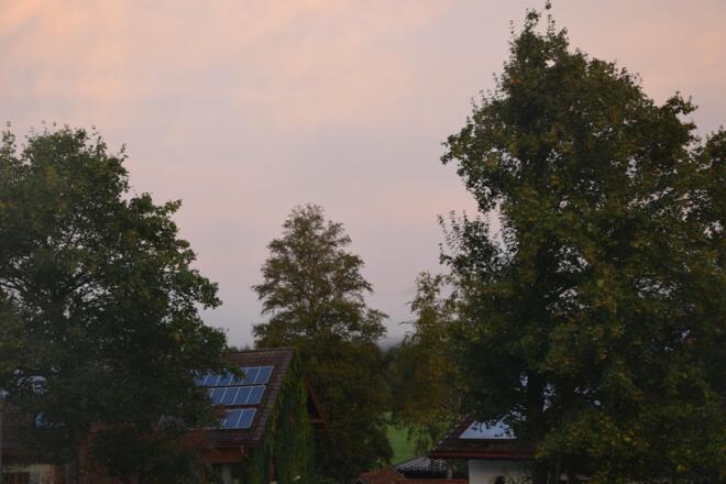 Herbstnebel beim Blick aus dem Fenster