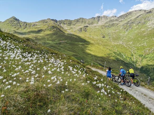 Mountainbiken im Wipptal