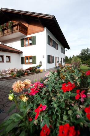 Haus Luna flowers