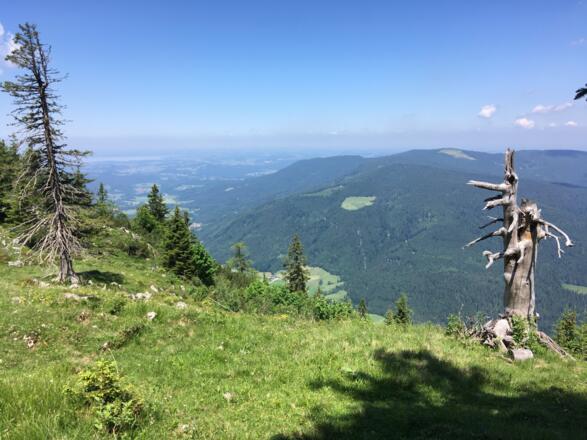 Aussicht