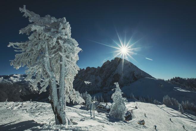Zwieselalm Dachstein-West