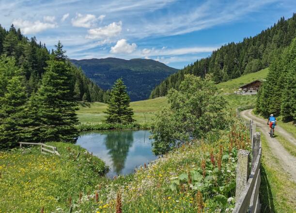Mountainbiken im Wipptal